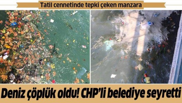 Tatil cennetinde deniz çöplüğe döndü! CHP'li belediye seyretti