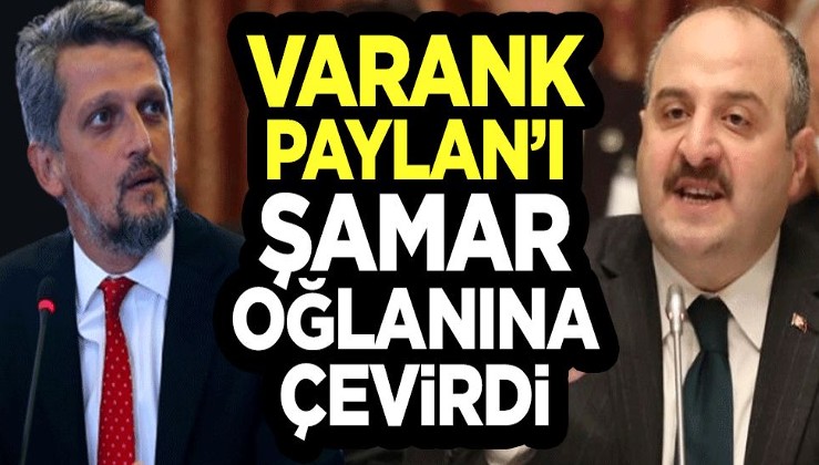Bakan Varank, HDP'li Paylan'ı şamar oğlanına çevirdi