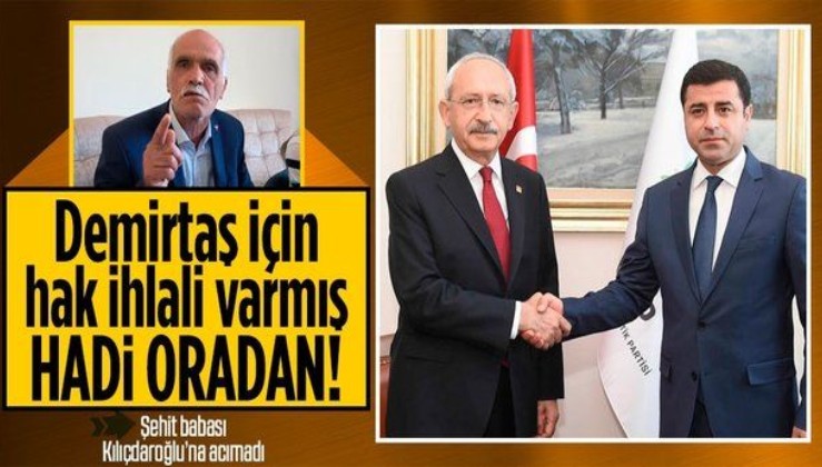 Gara Şehidi Vedat Kaya'nın babası Şehmus Kaya'dan Kemal Kılıçdaroğlu'na 'Selahattin Demirtaş' tepkisi: Hadi oradan