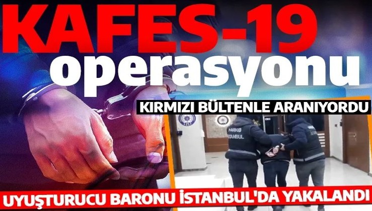 İnterpol Kırmızı Bülten’le aranan uyuşturucu baronu İstanbul’da yakalandı