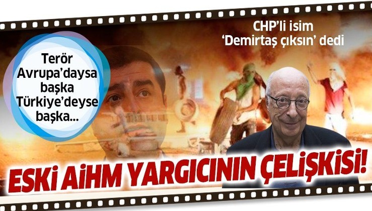 Terör Avrupa'daysa başka Türkiye'deyse başka! Eski AİHM yargıcı ve 24. dönem CHP Milletvekili Rıza Türmen'in çelişkisi...