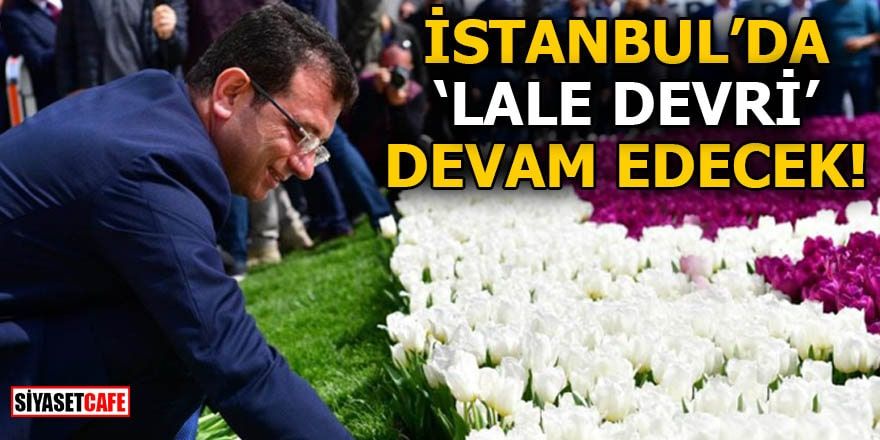 İstanbul'da 'Lale Devri' devam edecek!