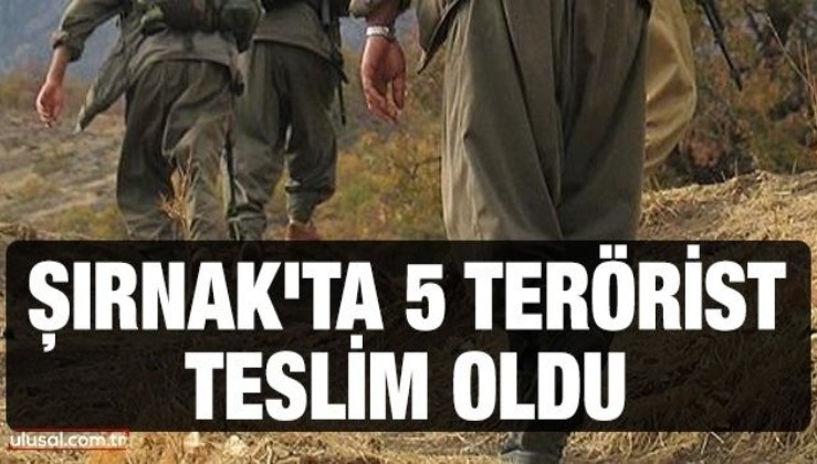 Şırnak'ta 5 terörist teslim oldu