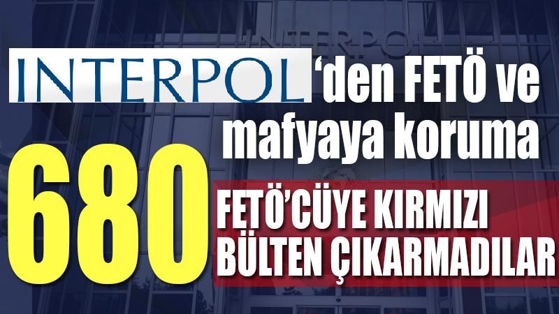 Interpol’den FETÖ ve mafyaya koruma: 680 FETÖ’cü hakkında kırmızı bülten çıkarmadılar
