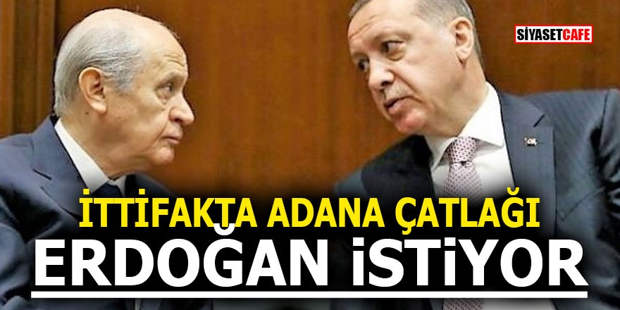 Cumhur İttifakı'nda Adana çatlağı! Erdoğan istiyor