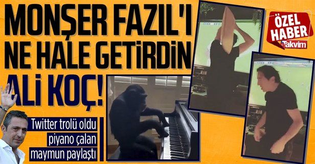 Fenerbahçe'nin kötü gidişatı Fazıl Say'ı çıldırttı! Piyano çalan maymun videosu paylaştı