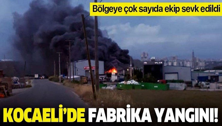 Son dakika: Kocaeli Gebze'de fabrika yangını