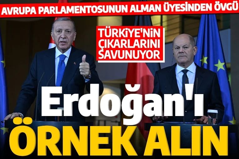 Avrupa Parlamentosu üyesinden Cumhurbaşkanı Erdoğan'a övgü: Türkiye'nin çıkarlarını savunuyor