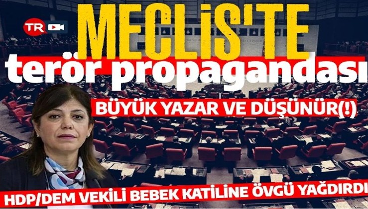 Gazi Meclis'te terör propagandası! HDP/DEM vekili bebek katiline övgü yağdırdı