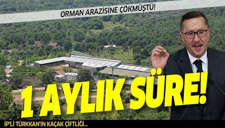 Orman arazisine çöken İYİ Partili Türkkan'a belediyeden bir aylık süre!