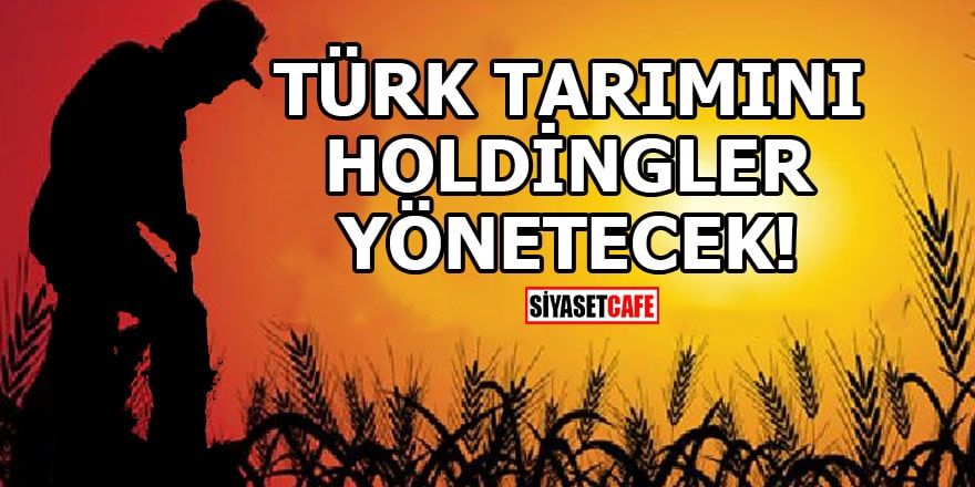 Türk tarımını holdingler yönetecek