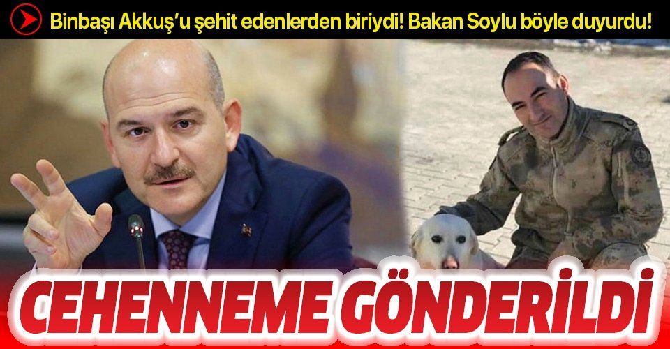İçişleri Bakanı Süleyman Soylu duyurdu: PKK'lı terörist Veysel Altun etkisiz hale getirildi