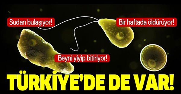 Koronavirüsten sonra bir haftada öldüren yeni virüs! Türkiye'de de var!