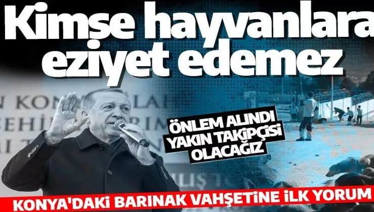 Cumhurbaşkanı Erdoğan'dan Konya'daki hayvan barınağı vahşetine tepki: Takipçisi olacağız