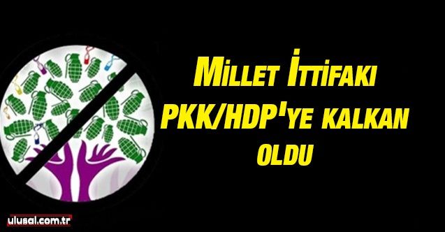 Millet İttifakı PKK/HDP'ye kalkan oldu