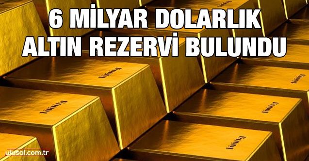 6 milyar dolarlık altın rezervi bulundu