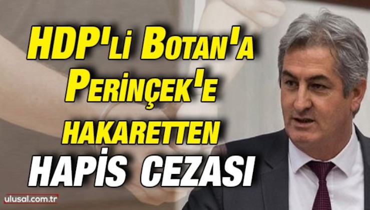 HDP'li Lezgin Botan'a Doğu Perinçek'e hakaretten hapis cezası