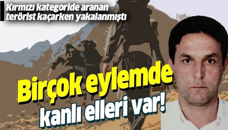 Kırmızı kategoride aranan PKK'lı Sabri Dal kaçarken yakalanmıştı! Terörist ile ilgili çarpıcı ayrıntılar ortaya çıktı!