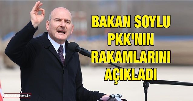 Bakan Soylu PKK'nın rakamlarını açıkladı