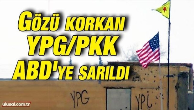Gözü korkan YPG/PKK ABD'ye sarıldı: ABD'nin Afganistan hezimeti YPG'yi endişelendirdi