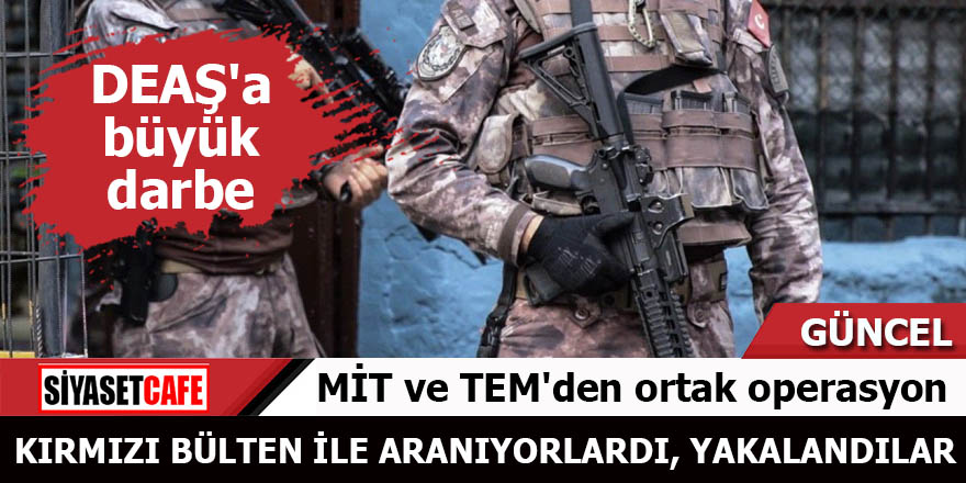 MİT ve TEM'den ortak operasyon Kırmızı bülten ile aranan kadınlar yakalandı