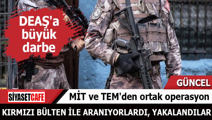 MİT ve TEM'den ortak operasyon Kırmızı bülten ile aranan kadınlar yakalandı