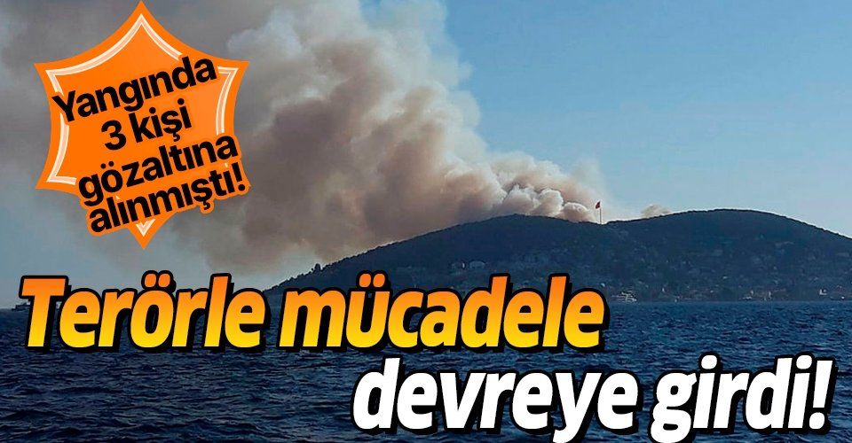İstanbul Heybeliada'da çıkan yangınla ilgili 3 kişi gözaltına alınmıştı! Terörle mücadele ekipleri harekete geçti!