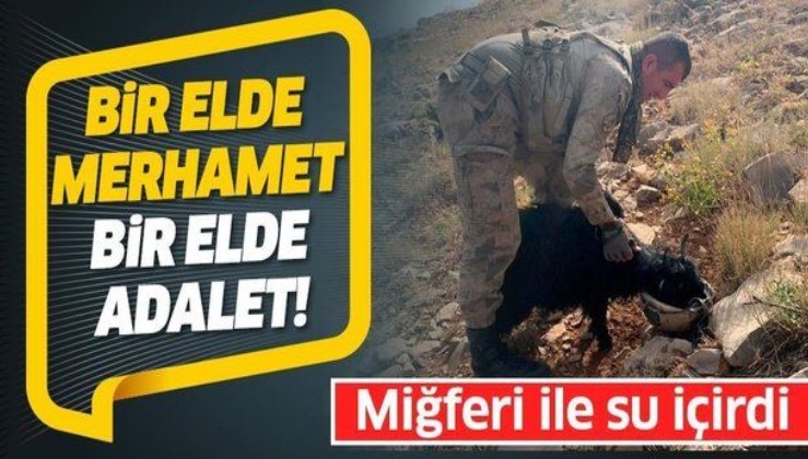 "Yıldırım-11 Herekol Operasyonu"nda görevli bir Mehmetçik dağda susuz kalan oğlağa miğferinden su içirdi