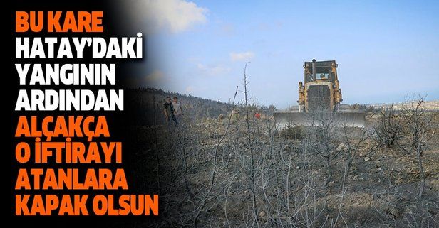 SEFERBERLİK BAŞLIYOR: Hatay'da yanan ormanlık alanları ağaçlandırmak için çalışma başlatıldı