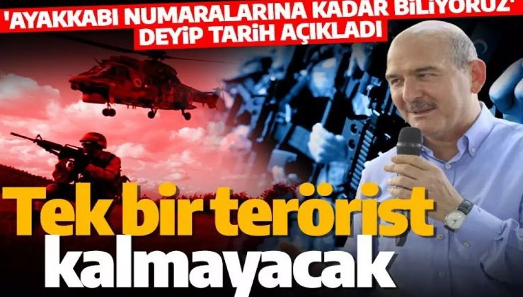 Süleyman Soylu: 29 ekim 2023'e kadar tek bir terörist kalmayacak