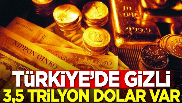 Türkiye'de gizli 3,5 trilyon dolar var