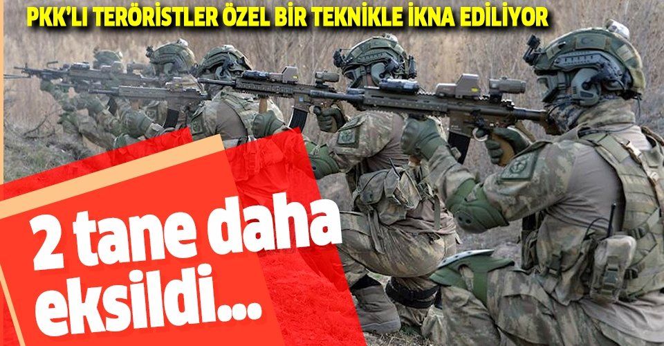 Terör örgütü PKK kurutuluyor... İkna edilen 2 PKK'lı terörist teslim oldu