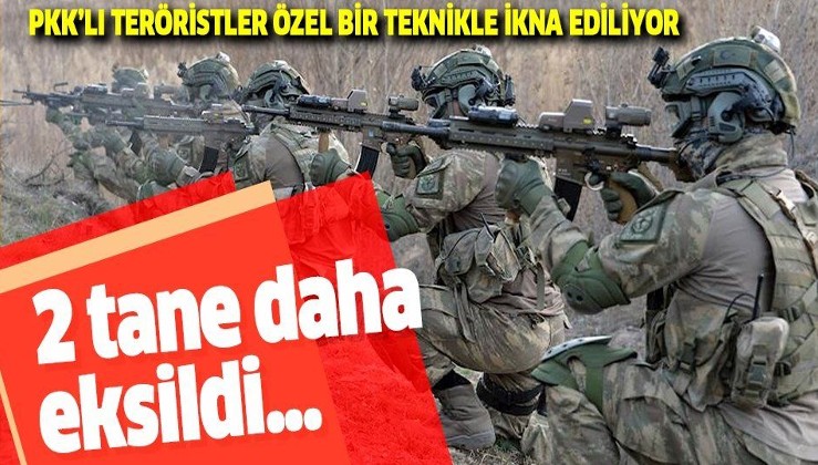 Terör örgütü PKK kurutuluyor... İkna edilen 2 PKK'lı terörist teslim oldu