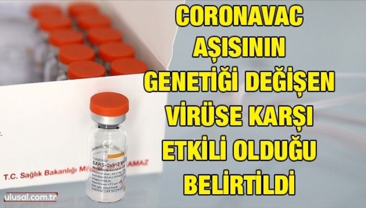 Coronavac aşısının genetiği değişen virüse karşı etkili olduğu belirtildi