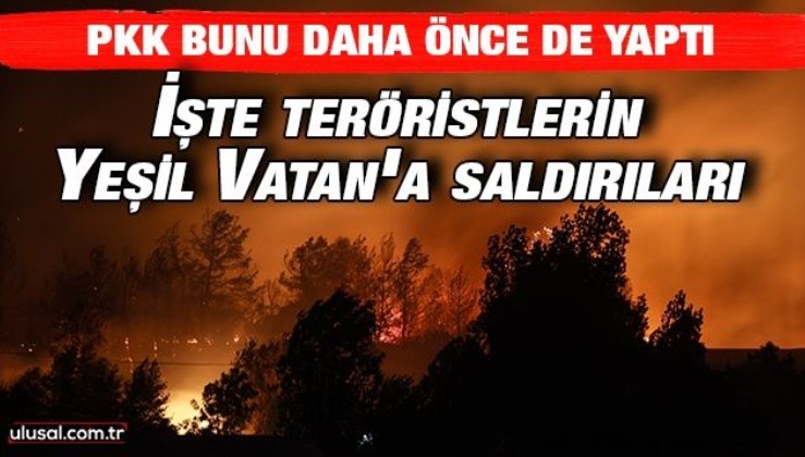 PKK bunu daha önce de yaptı: İşte teröristlerin Yeşil Vatan'a saldırıları
