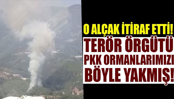 PKK'lı terörist, ormanları yaktığını itiraf etti