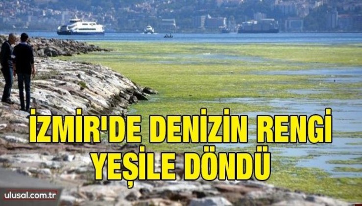 İzmir'de denizin rengi yeşile döndü
