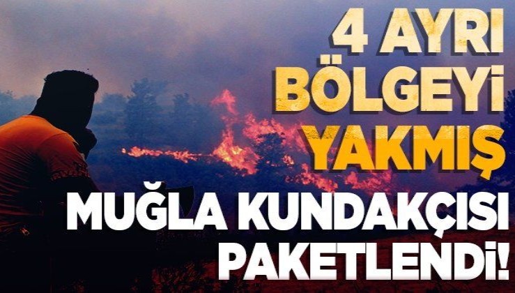 Muğla'da 4 ayrı bölgede orman yangını çıkardığı iddiasıyla gözaltına alınan zanlı tutuklandı