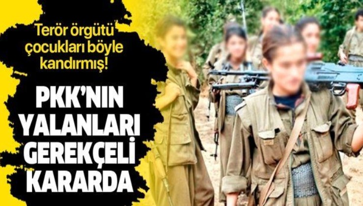 Son dakika: Eli kanlı terör örgütü PKK'nın yalanları gerekçeli kararda: Çocukları böyle kandırmışlar