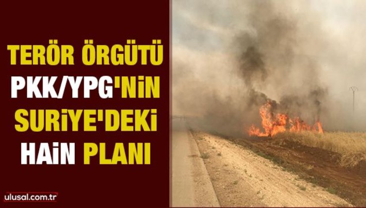 Terör örgütü PKK/YPG'nin Suriye'deki hain planı