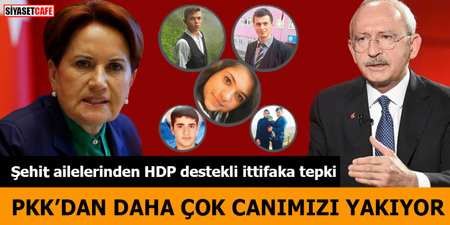 Şehit ailelerinden HDP destekli ittifaka tepki PKK’dan daha çok canımızı yanıyor