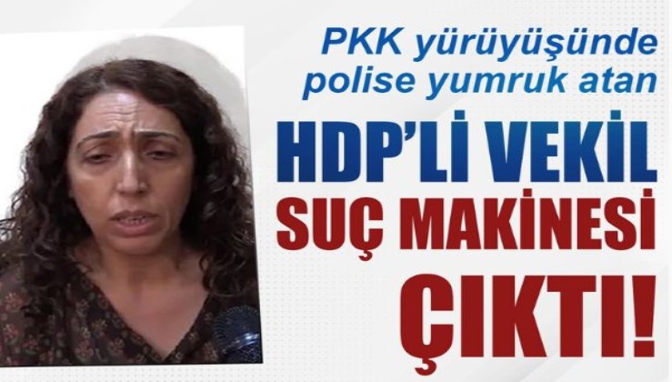 Polise yumruk atan HDP'li vekil suç makinesi çıktı: EBE İKEN İHRAÇ EDİLDİ.POLİSİ ISIRDI.