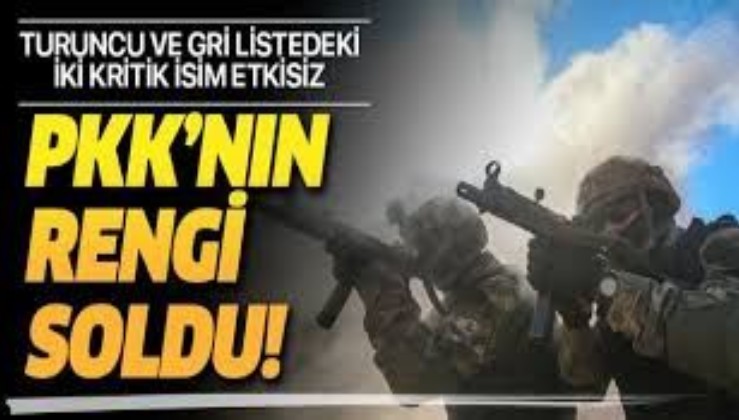 Son dakika: Bitlis'te Turuncu ve Gri Kategori'deki teröristler etkisiz hale getirildi
