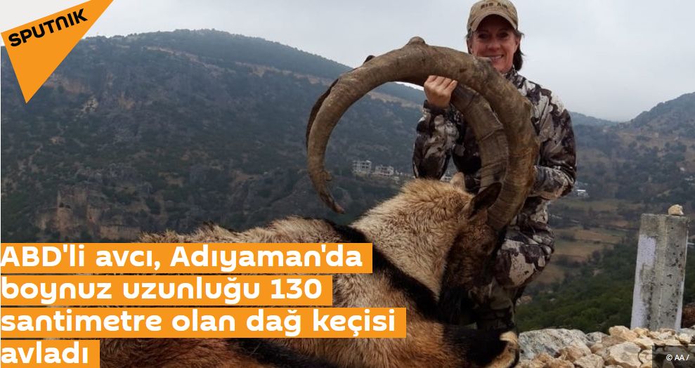 ABD'li avcı, Adıyaman'da boynuz uzunluğu 130 santimetre olan dağ keçisi avladı
