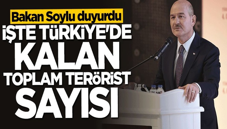 Bakan Soylu Türkiye'de kalan terörist sayısını açıkladı