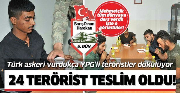 Son dakika: MSB açıkladı: 24 terörist teslim oldu!.