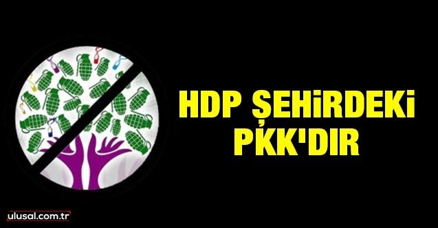HDP şehirdeki PKK'dır