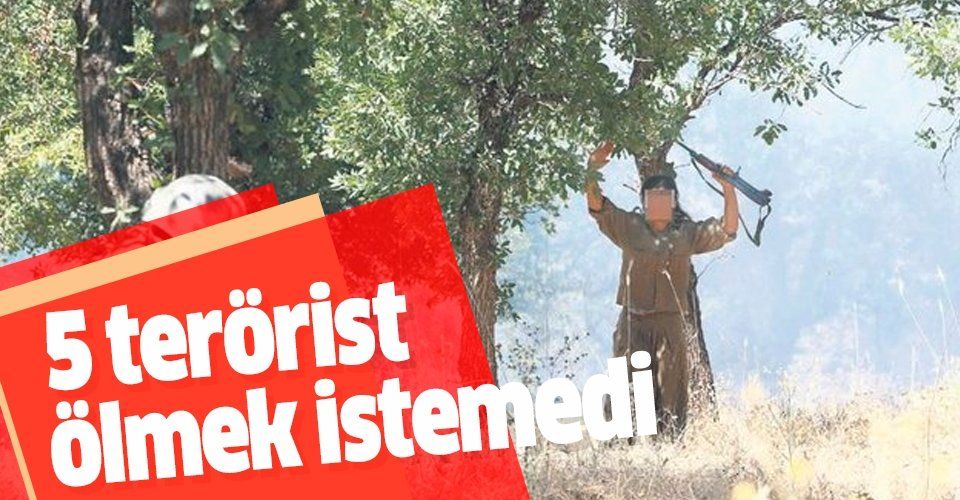 Son dakika: 5 PKK'lı terörist, askerimize teslim oldu