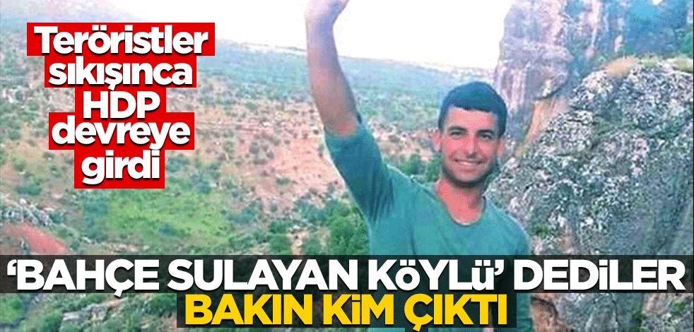 PKK sıkışınca HDP devreye girdi! "Bahçe sulayan köylü" dediler, bakın kim çıktı