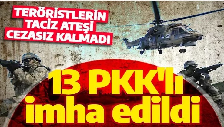 Son dakika: MSB duyurdu! 13 PKK'lı terörist etkisiz hale getirildi